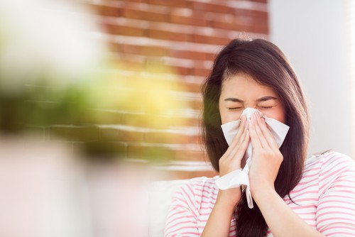 Signs of Mold Contamination