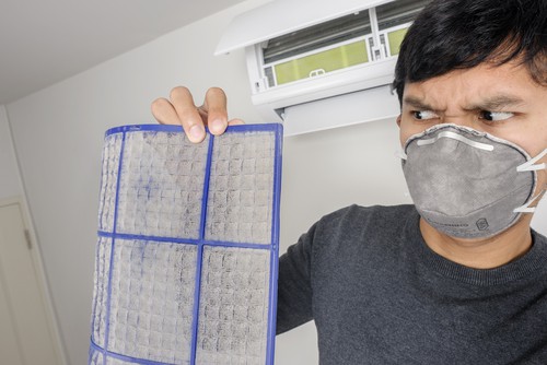 Understanding Mold and Its Health Risks