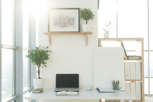 Creating Zones and Designating Spaces