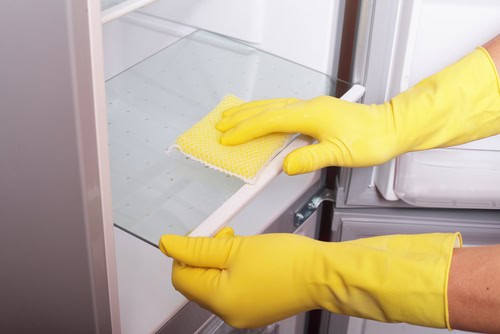 Refrigerator and Freezer Maintenance