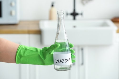 Efficient Green Cleaning Tips for Different Areas of the Home